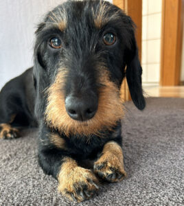 Belinda Augenuntersuchung